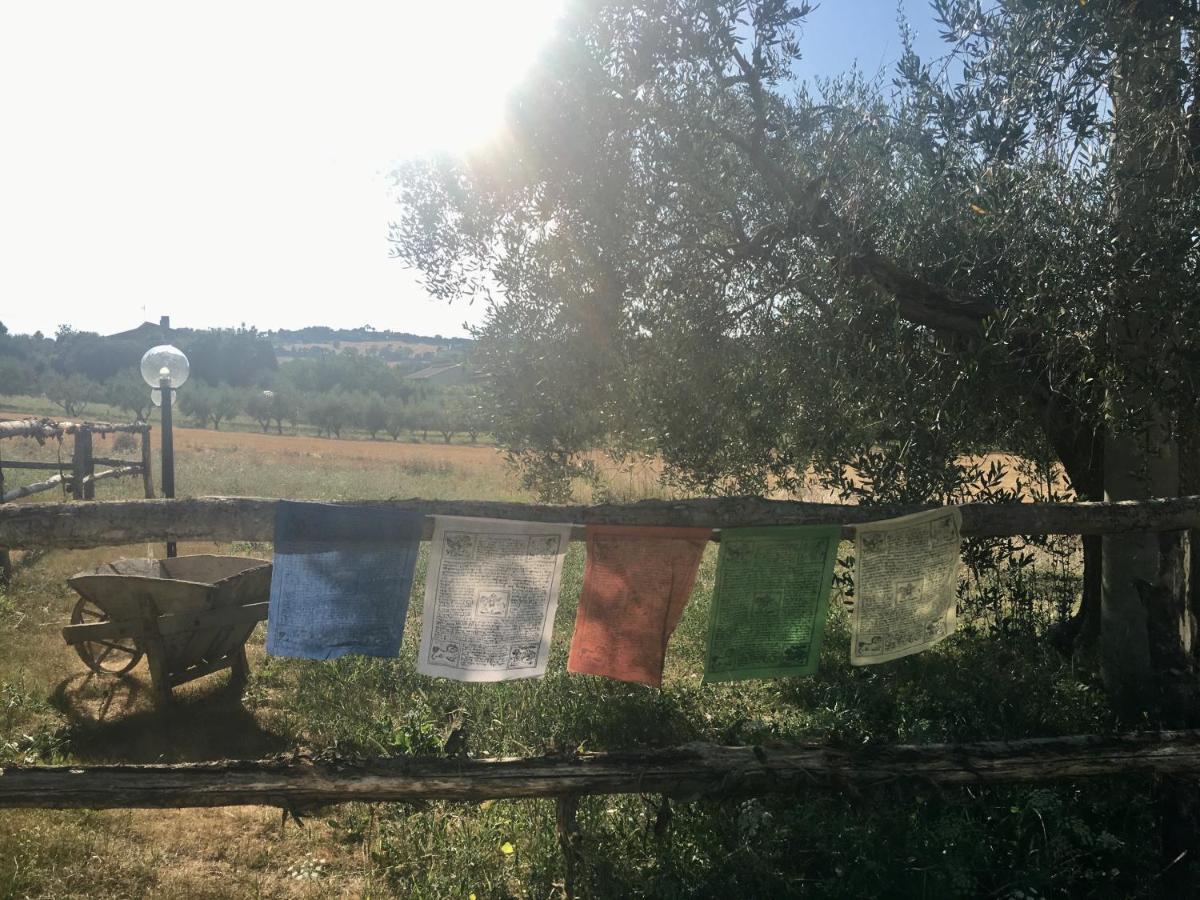 La Goiaba B&B Senigallia Exterior photo